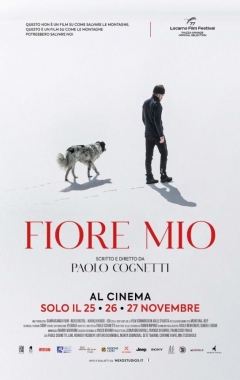 Fiore Mio  (2024)